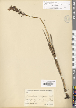 LE 01029349