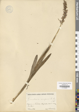 LE 01029351