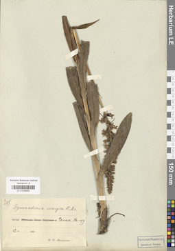 LE 01029353