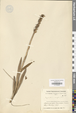 LE 01029355