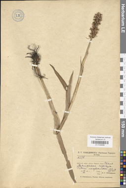 LE 01029356