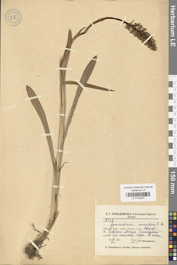 LE 01029357