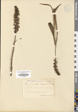 LE 01029361