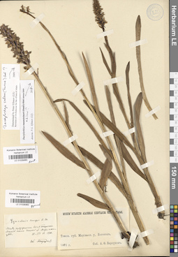 LE 01029362