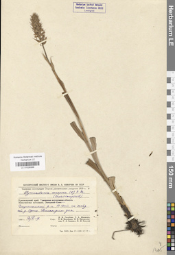 LE 01029366