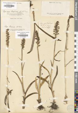 LE 01029369