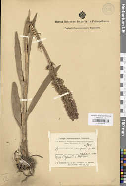 LE 01029374