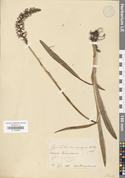 LE 01029385