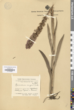LE 01029389