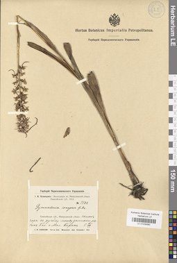 LE 01029390