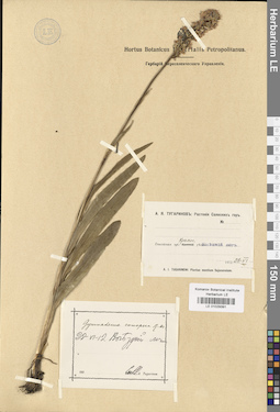 LE 01029391
