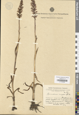LE 01029394