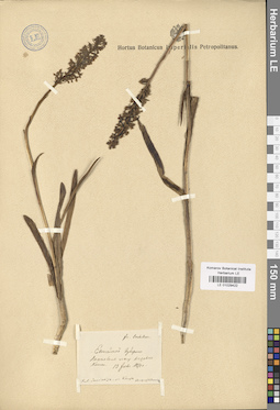 LE 01029422