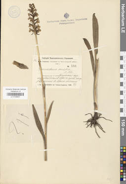 LE 01029431