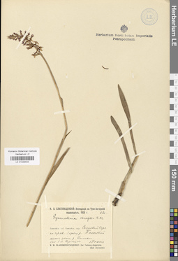 LE 01029433