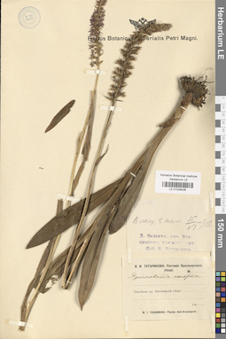LE 01029436