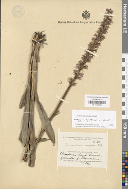 LE 01029438