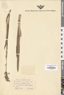 LE 01029442