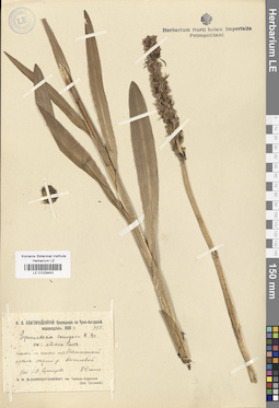 LE 01029443