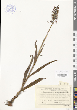 LE 01029444