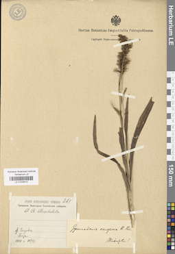 LE 01029410
