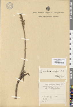 LE 01029411