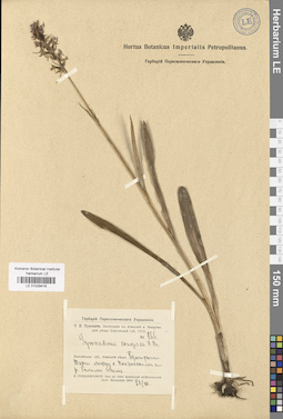 LE 01029416