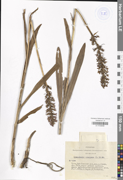 LE 01029456