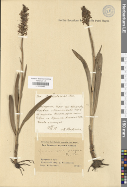 LE 01029463