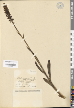LE 01029469
