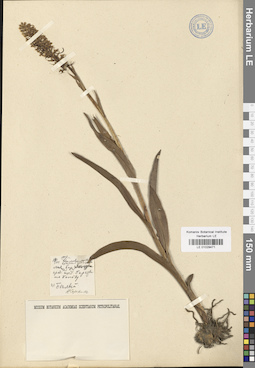 LE 01029471