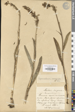 LE 01029472