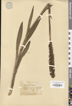 LE 01029473