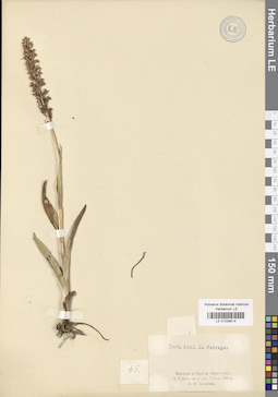 LE 01029514