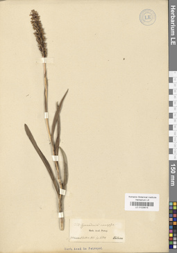 LE 01029515