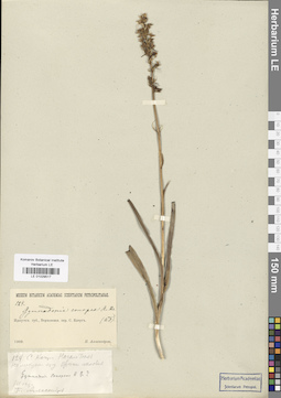 LE 01029517