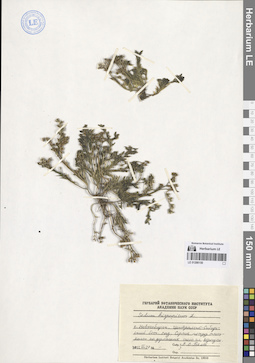 LE 01286150