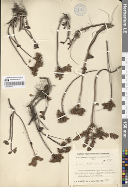 LE 01286161