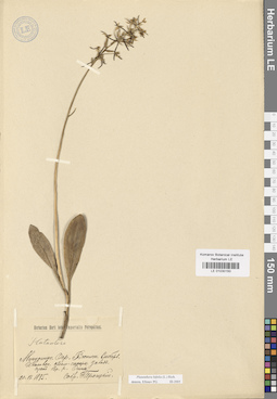 LE 01030150