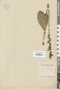 LE 01030151