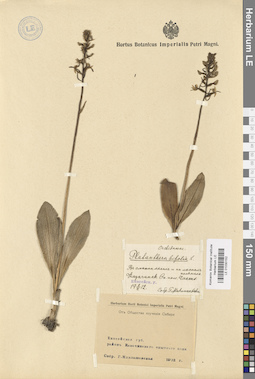 LE 01030152
