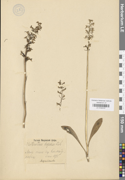 LE 01030157