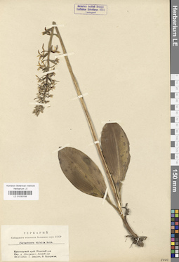 LE 01030158