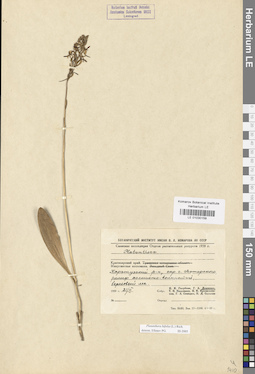 LE 01030159