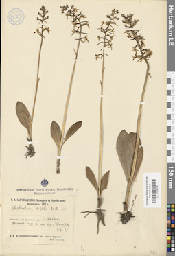 LE 01030161