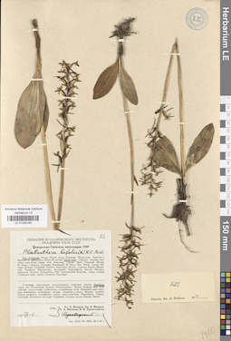 LE 01030163