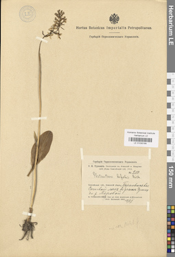 LE 01030164