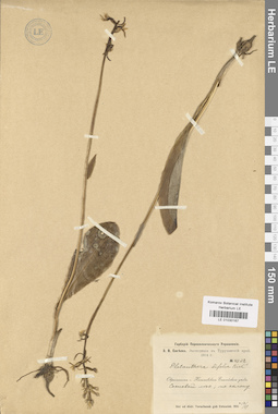 LE 01030167