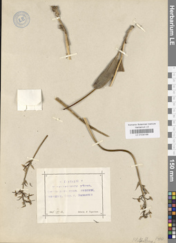 LE 01030168