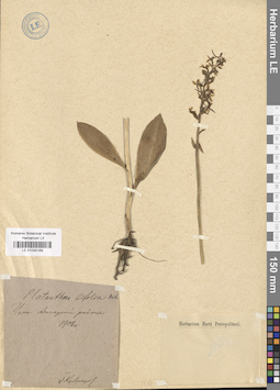 LE 01030169